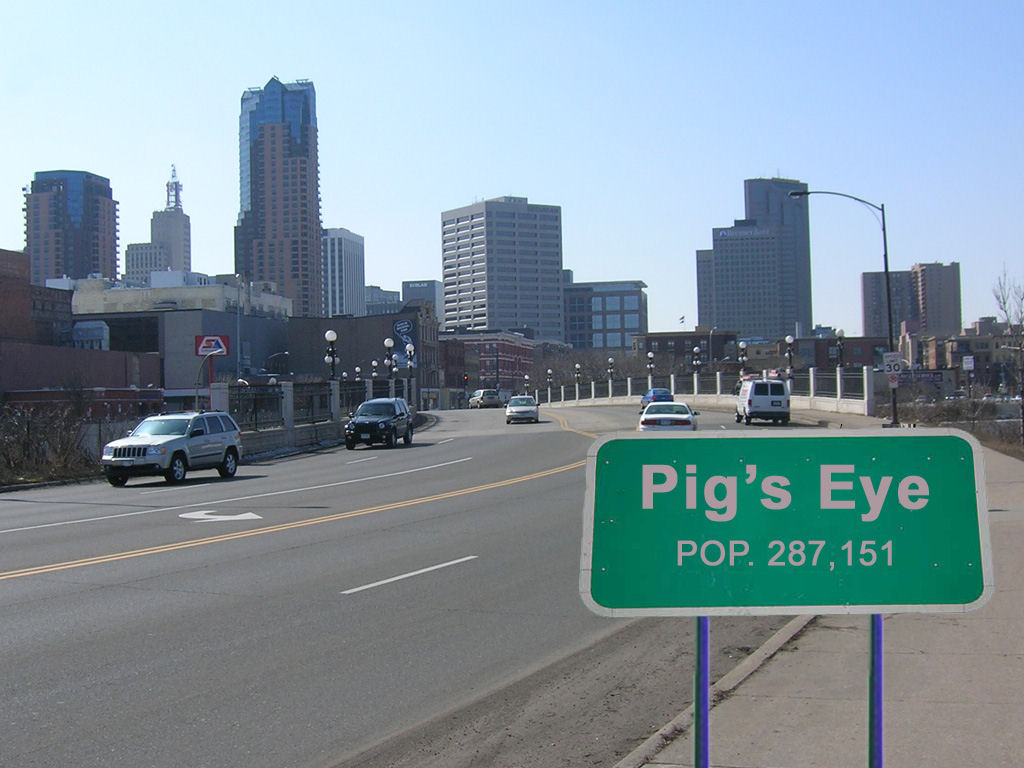 pigs_eye_picture.jpg